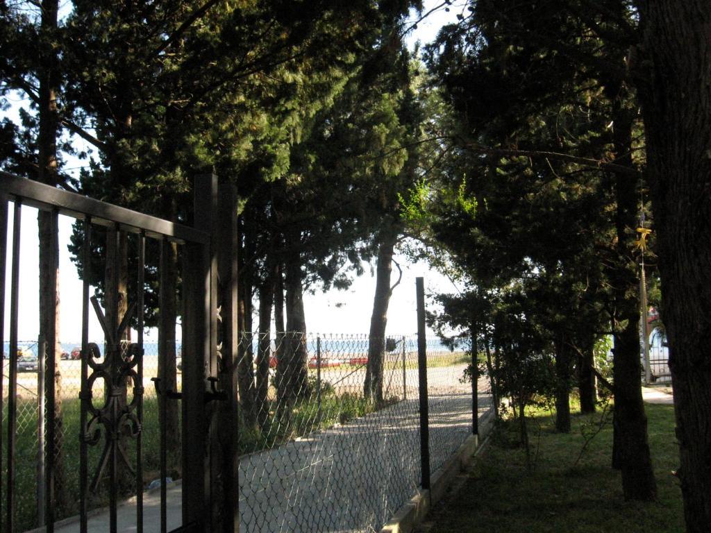 Vila Branka Canj Exterior photo